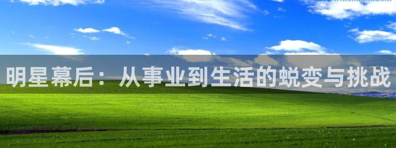 庄闲和游戏官网：明星幕后：从事业到生活的蜕变与挑战