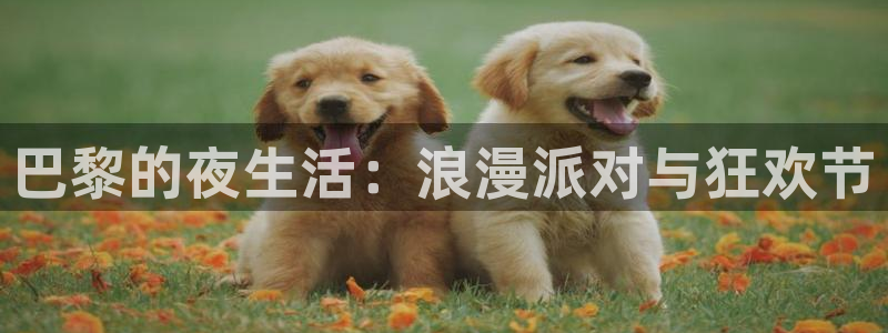 庄闲和游戏官网：巴黎的夜生活：浪漫派对与狂欢节