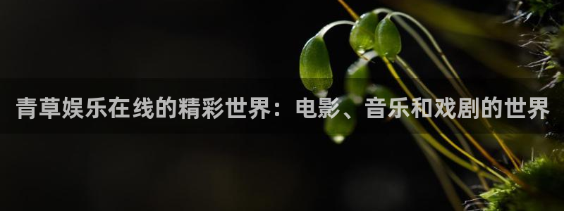 庄闲和游戏官网：青草娱乐在线的精彩世界：电影、音乐和戏剧的世界
