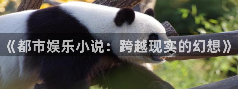 庄闲和游戏官网：《都市娱乐小说：跨越现实的幻想》