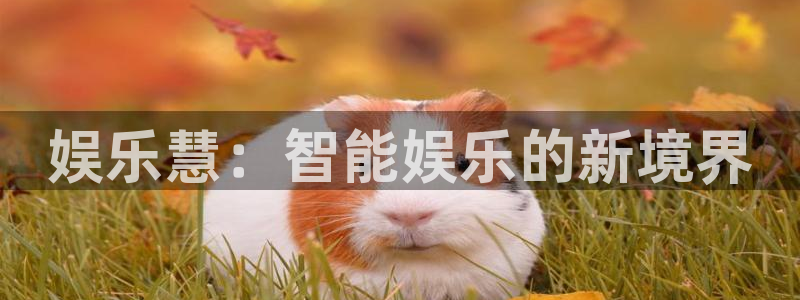 庄闲和游戏官网：娱乐慧：智能娱乐的新境界