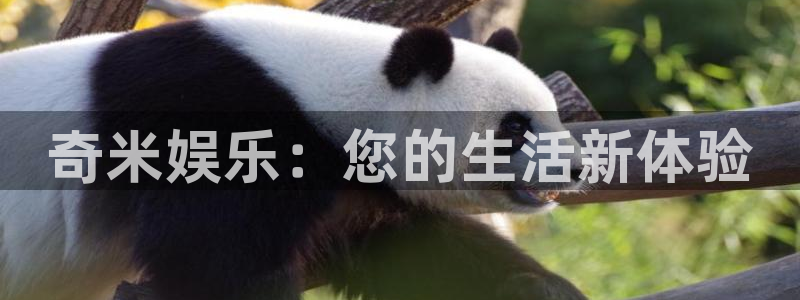 庄闲和游戏官网：奇米娱乐：您的生活新体验