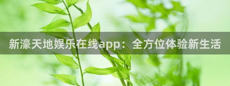 upload/20250701114914.jpg