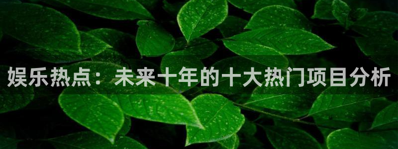 庄闲和游戏官网：娱乐热点：未来十年的十大热门项目分析