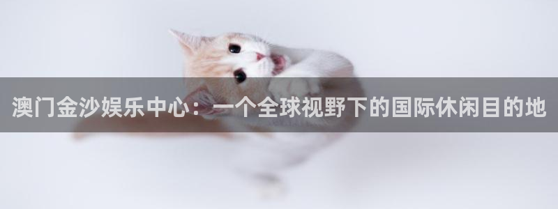 庄闲和游戏官网：澳门金沙娱乐中心：一个全球视野下的国际休闲目的地