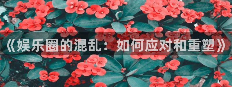 庄闲和游戏官网：《娱乐圈的混乱：如何应对和重塑》